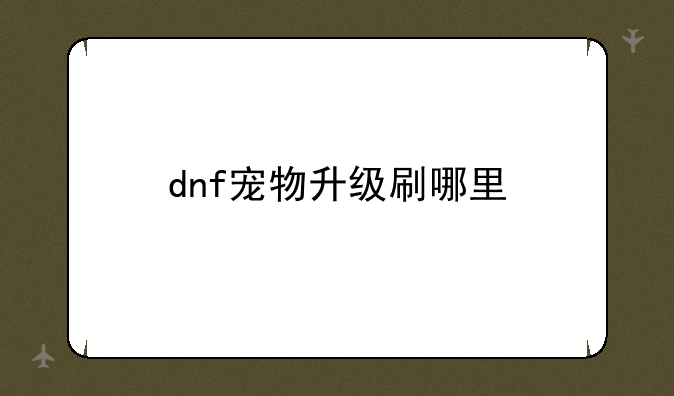 dnf宠物升级刷哪里
