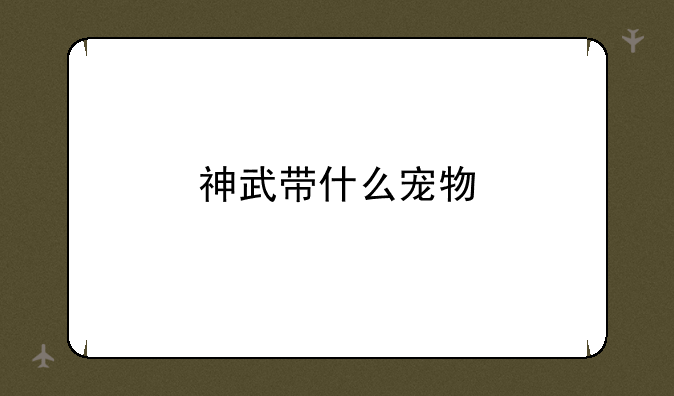 神武带什么宠物