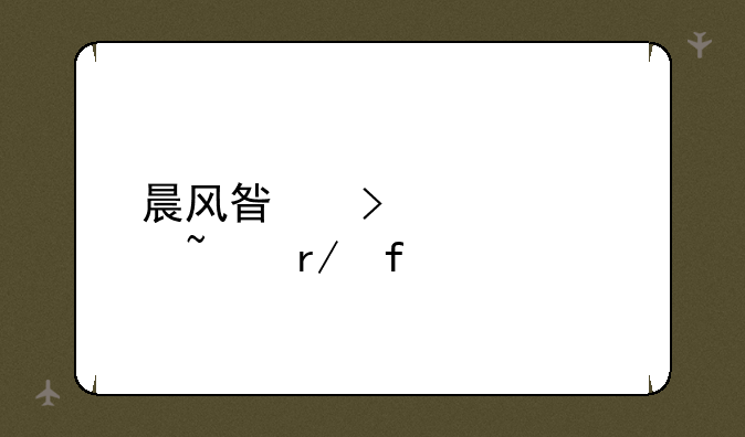 晨风星号密码查看器