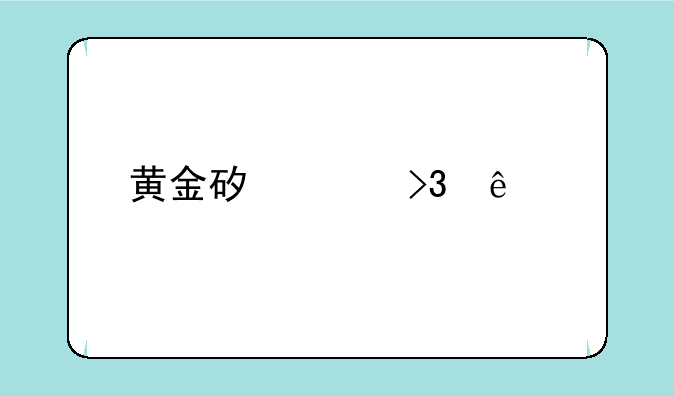 黄金矿工双人版下载