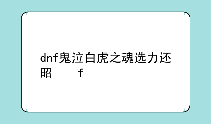dnf鬼泣白虎之魂选力还是智