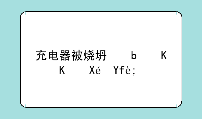 充电器被烧坏是什么原因？