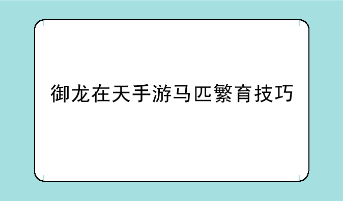 御龙在天手游马匹繁育技巧