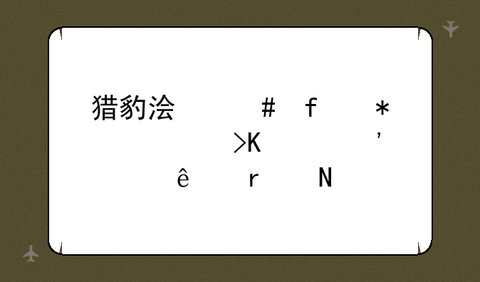 猎豹浏览器抢票插件安装了在哪找