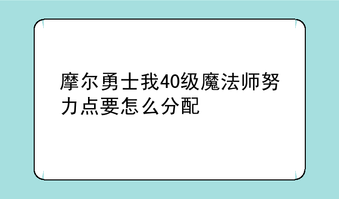 摩尔勇士我40级魔法师努力点要怎么分配