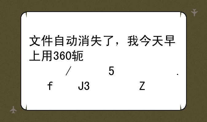 文件自动消失了，我今天早上用360软件管家下载MD模拟器和魂斗罗4的雅缩包，打开压缩包