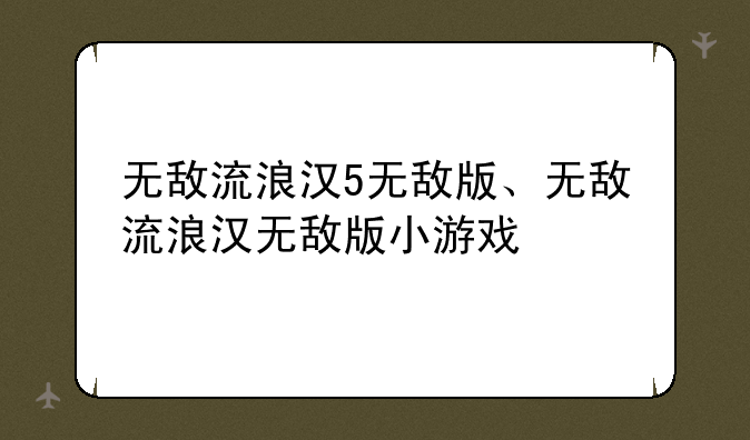 无敌流浪汉5无敌版、无敌流浪汉